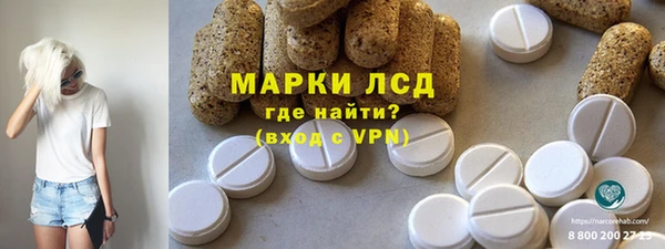 ECSTASY Богородицк