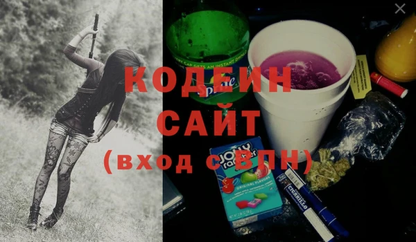 ECSTASY Богородицк